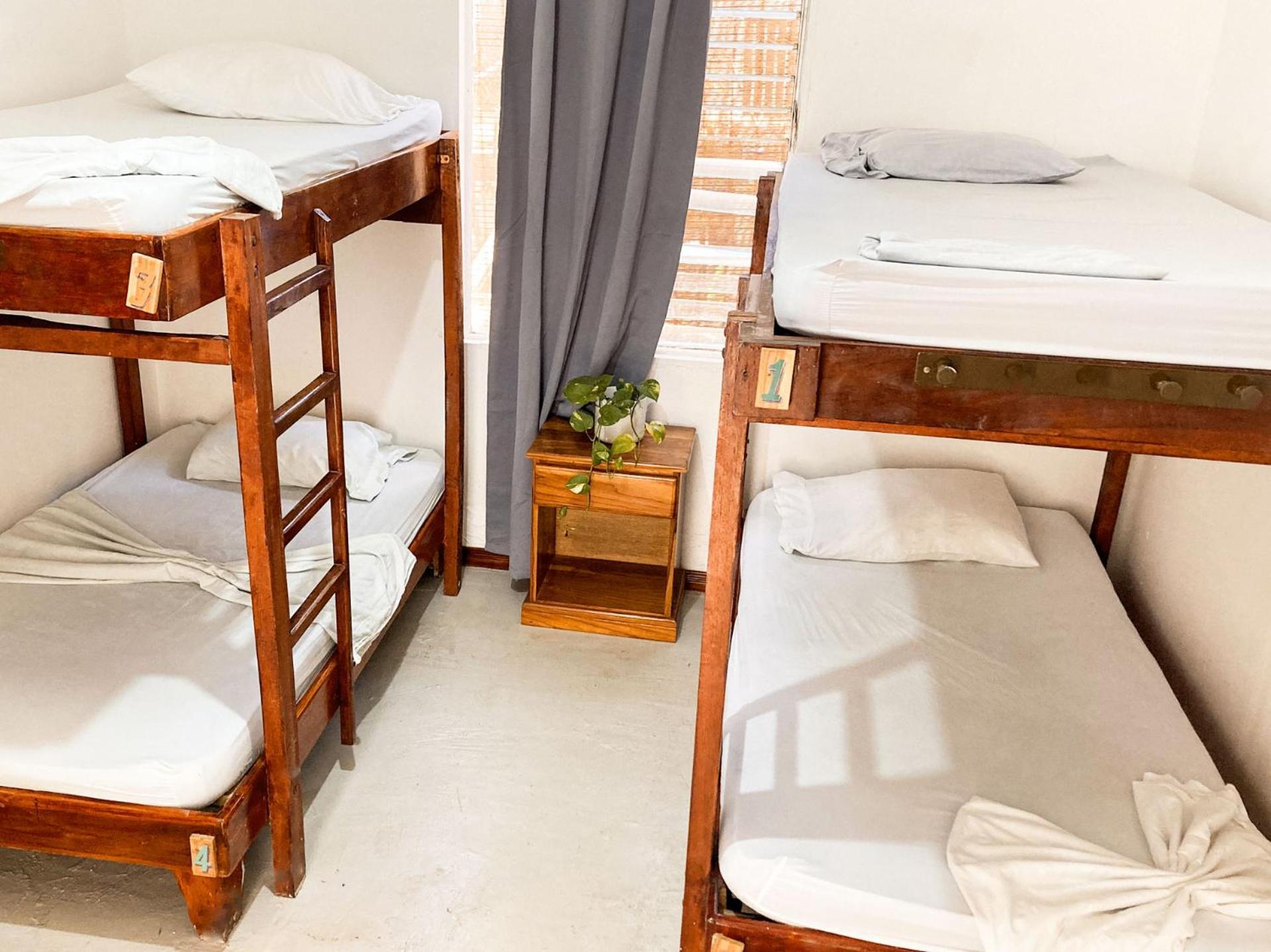 La Posada - Hostel Playa Santa Teresa  エクステリア 写真